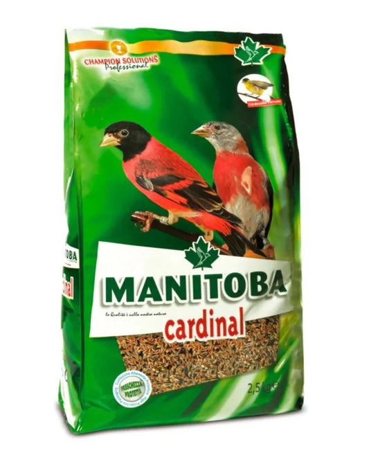 Manitoba Cardinal