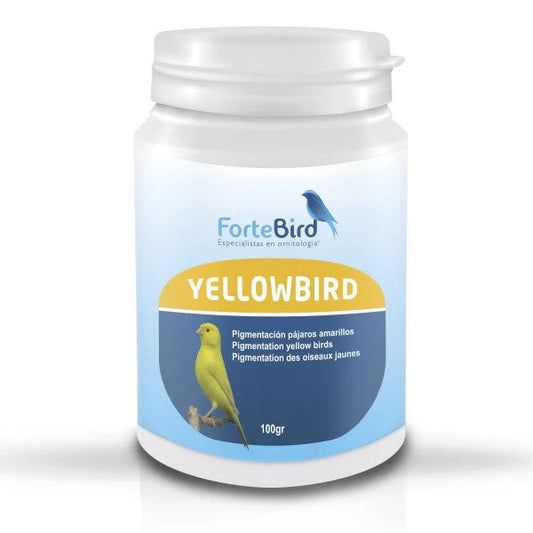 ForteBird Yellow Bird