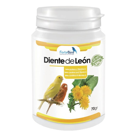 ForteBird Diente de León (Dandelion Powder) 70 g