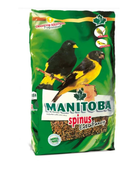 Manitoba Spinus Extra Fancy