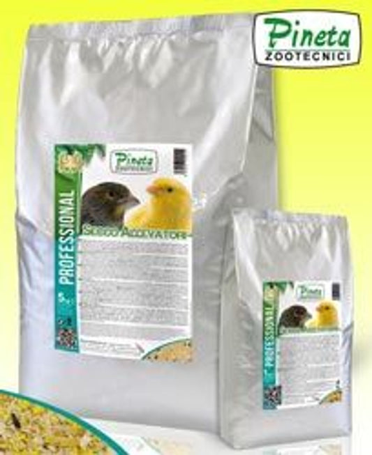 Secco Allevatori 1Kg Pineta