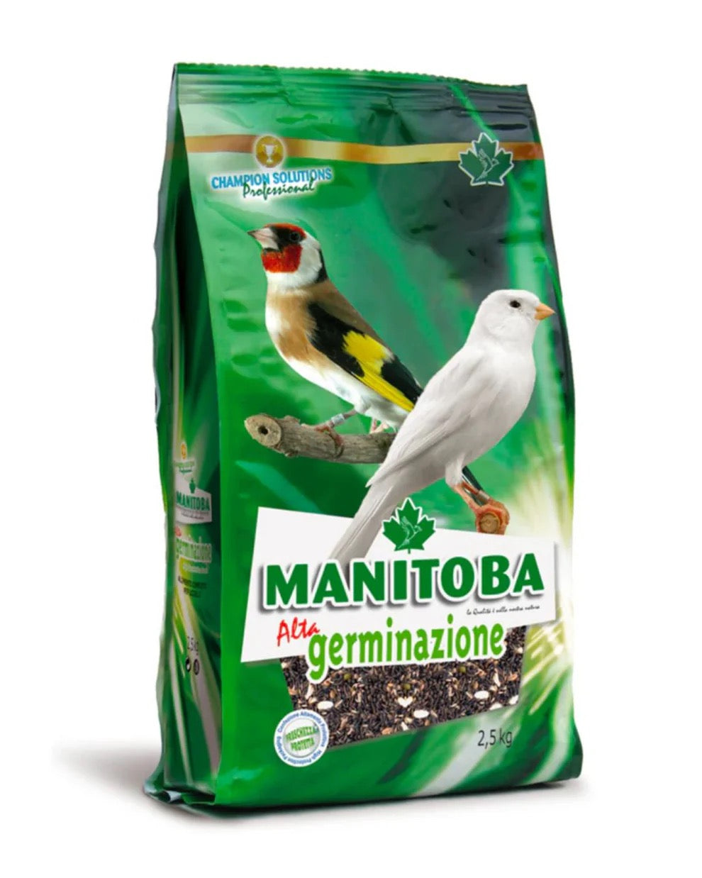 Manitoba Alta Germinación