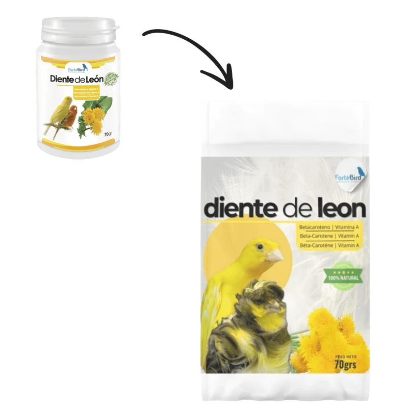 ForteBird Diente de León (Dandelion Powder) 70 g