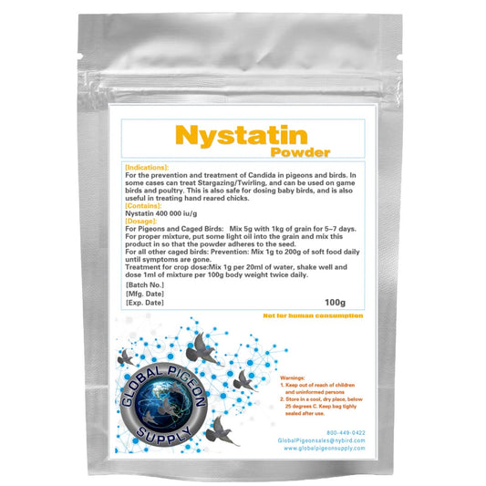 GLOBAL SILVER NYSATIN POWDER 100G