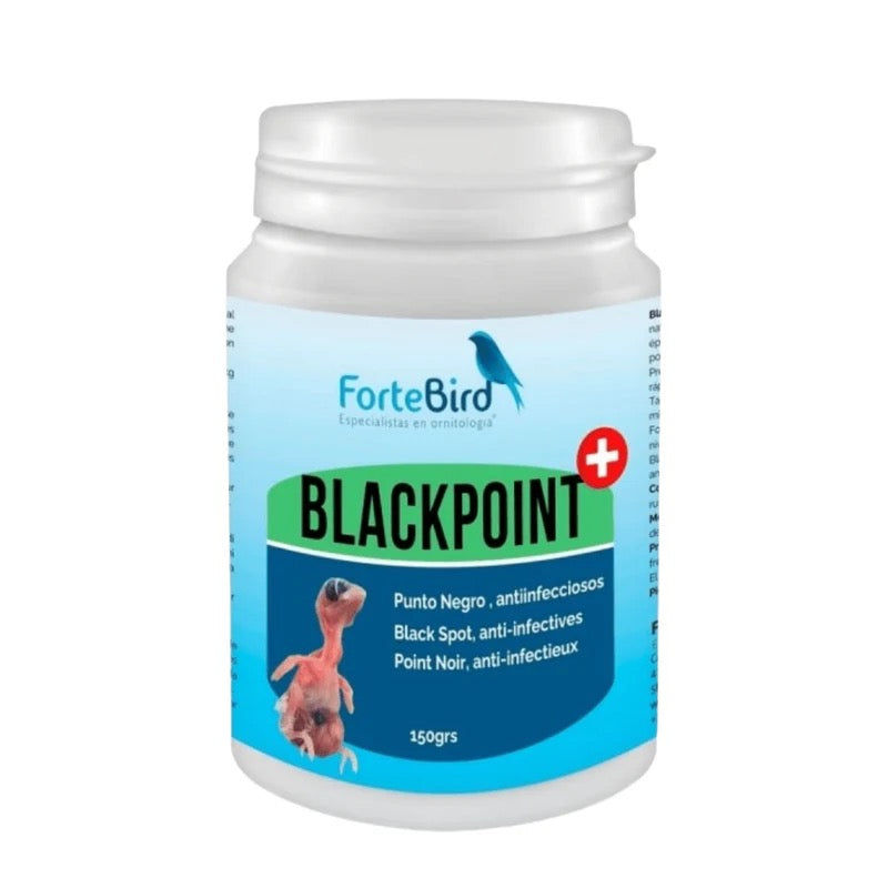 ForteBird Black Point