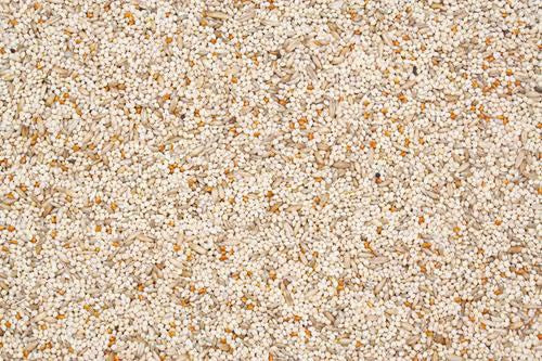 Higgins Supreme Seed Finch Food