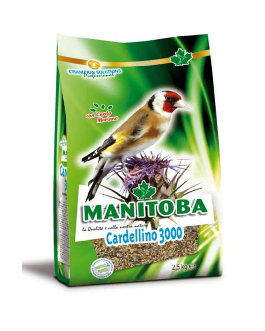 Manitoba Cardellino 3000