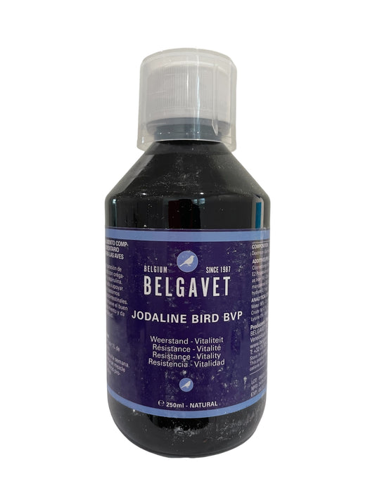 BelgaVet Jodaline Bird 250ml, (tónico energético 100% natural con orégano y espirulina). Para Pájaros