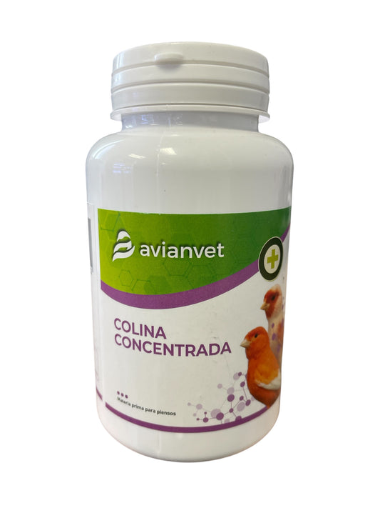 Avianvet Colina Concentrada 100gr (Prevención de diferentes enfermedades del hígado en los pájaros)